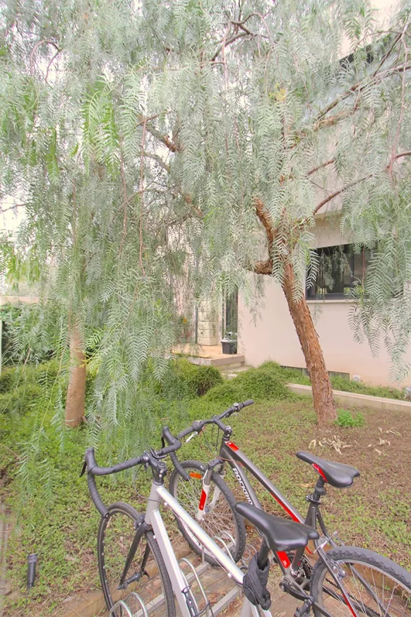 Kaléo's Bike Parking.
